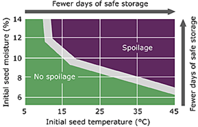 Let's Talk Farming: What's the Scoop on Harvesting and Grain Storage? 8